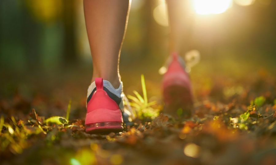 pies de una persona caminando por el bosque